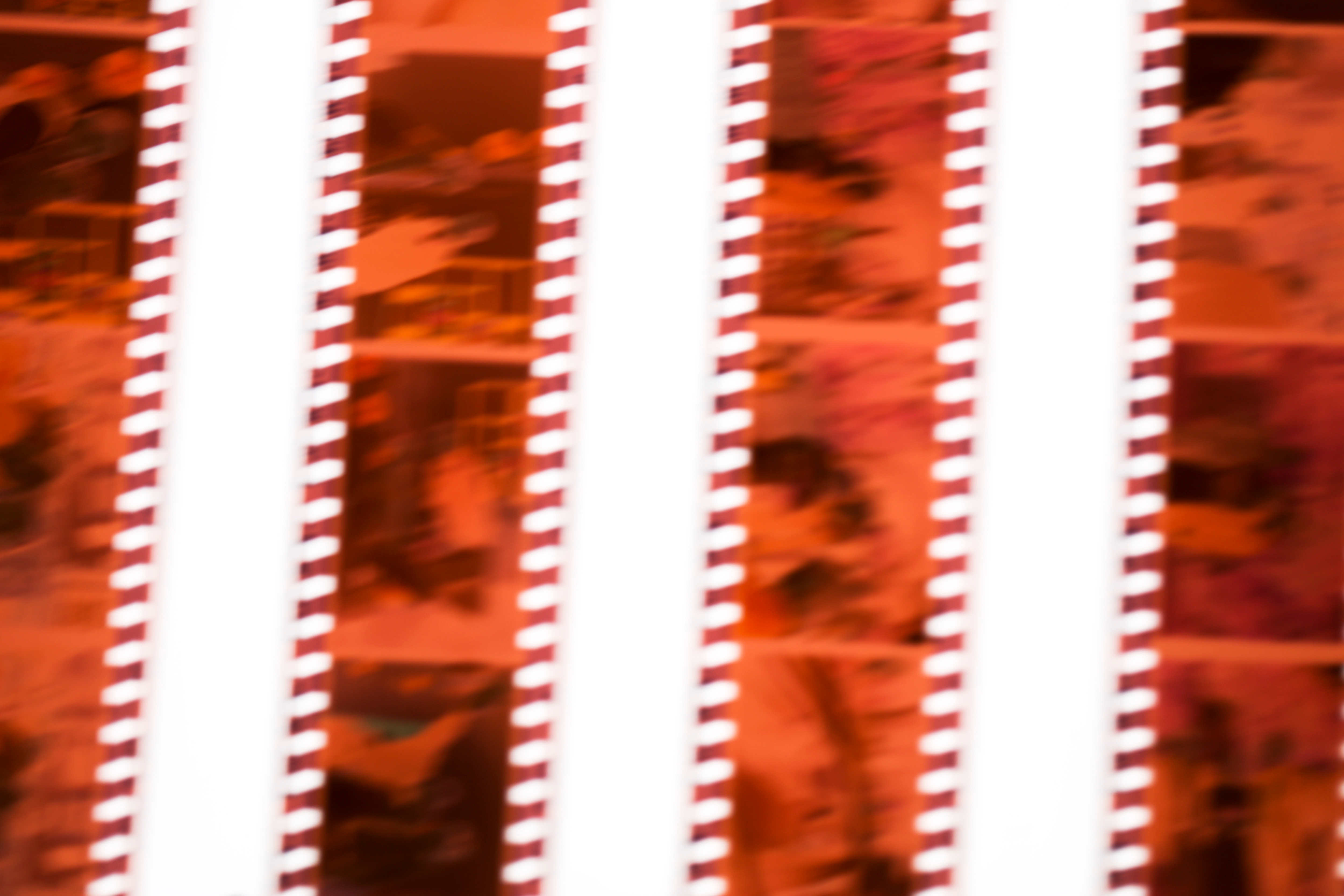 shutterstock_1941954994